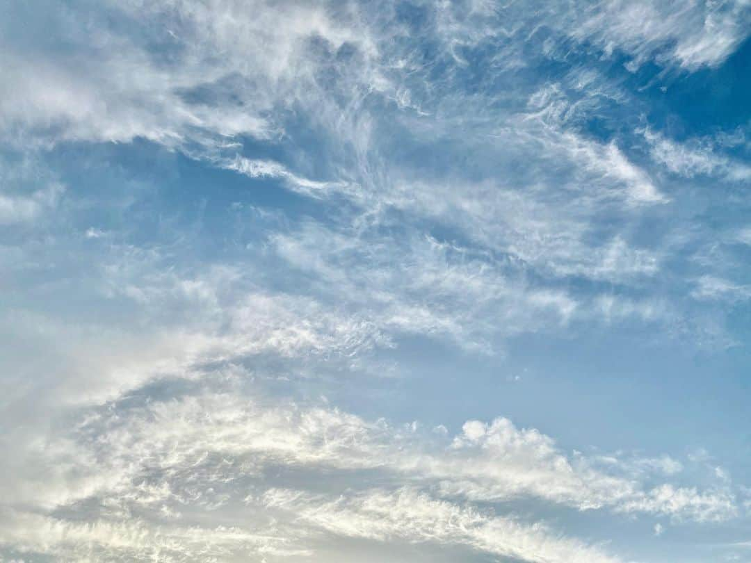 尾崎ありささんのインスタグラム写真 - (尾崎ありさInstagram)「☁️﻿ ﻿ ﻿ ﻿ #空 #空が好きな人と繋がりたい #雲 #空好き #風景 #sky #bluesky #skylovers #skyporn #cloud #写真好きな人と繋がりたい #青空 #そら #awesome #landscape ﻿#景色」5月23日 22時23分 - also1219