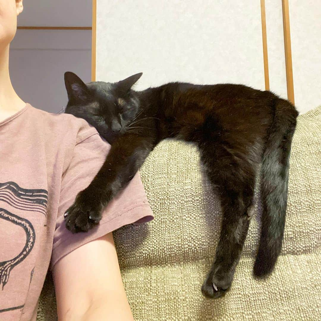 nemuru_catさんのインスタグラム写真 - (nemuru_catInstagram)「#ベム#眠る妻  Ｔシャツの色落ちすぎだわ😅 この２か月弱　ビリーやったり 体幹トレーニングやりましたけど １キロも痩せないし 太りもしませんでした… * #ねこ部#cat#cats#neko#猫#catsofinstagram#bestmeow#catlover#instagramjapan#ふわもこ部#黒猫」5月23日 22時45分 - nemuru_cat