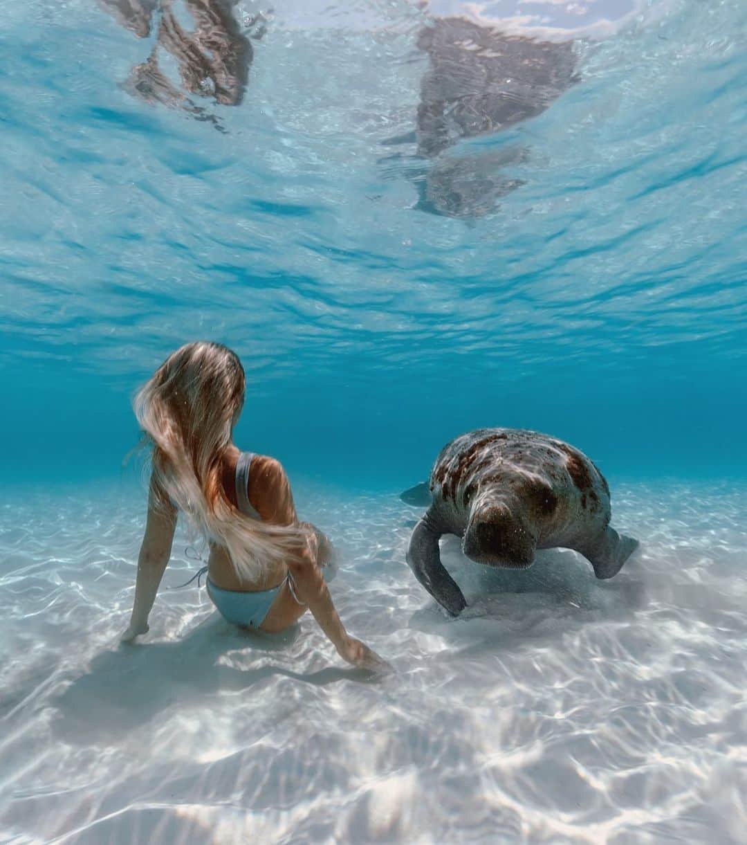 サシャ・カリスのインスタグラム：「Missing all my sweet sea animal friends 💙💦 Do you know what type of animal she is? ✨」