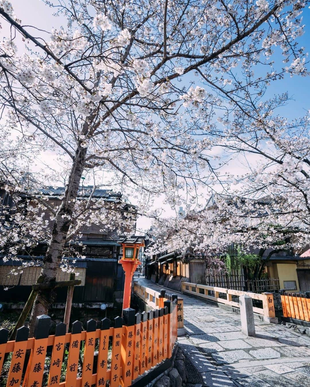 もろんのんさんのインスタグラム写真 - (もろんのんInstagram)「【ご報告🌸】 「そうだ京都、行こう。」公式Instagramの撮影をいたしました！ . 「今年はお花見に行けなかった」という方も、楽しんでいただけると嬉しいです。  全てでは無いですが、公式に掲載されている桜写真はほとんど撮らせていただきました📷 ▶︎ @soudakyoto_official  心打たれる京都の桜景色と出会えたので、来年の参考になるように私のInstagramでもお届けしていきます⛩️ . ※緊急事態宣言以前に、新型コロナウイルス感染防止のため、撮影は細心の注意を払って行いました。 . 📍京都 / Kyoto,Japan」5月23日 23時11分 - moron_non