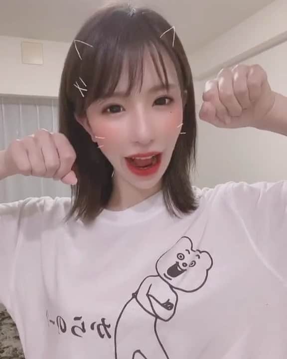 ちゃんうさのインスタグラム
