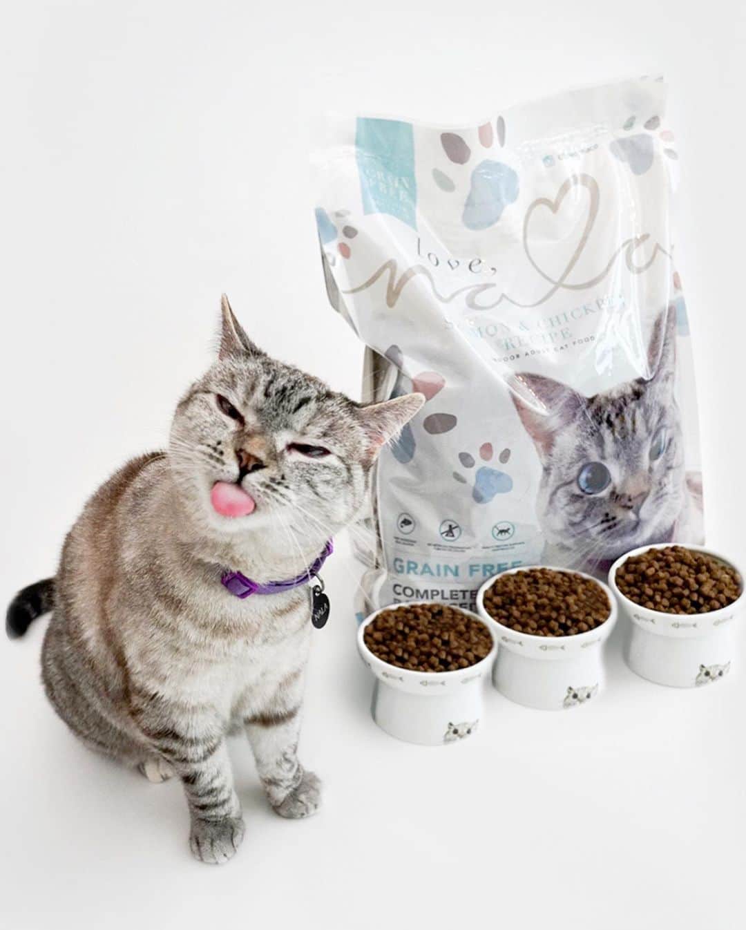nala_catさんのインスタグラム写真 - (nala_catInstagram)「As a community, we filled more than 20,000 bowls of Love for rescues in need. Our last 4 partners were in California and now we want to give some love to New York. We’re excited to announce that we’ll be lending a paw to our friends at @animalhaven. ⠀ ⠀ Starting today, we’ll be donating an 11 pound bag of kibble for every 11 pound bag sold until Sunday, 5/31/2020. This means when you buy a bag for your kitty, we’ll send an entire bag of kibble to the kitties at @animalhaven 📦 ❤️ ⠀ ⠀ If you want to help but you don't need food right now or live in another country, you can participate by visiting lovenala.com and purchasing the “Donation-only Dry Food” product you'll see there and we'll add a bag to the donation! Together, we can ease some of the financial burden so the heroes can do what they do best, save lives and find loving forever homes (Link in bio)⠀」5月24日 2時35分 - nala_cat