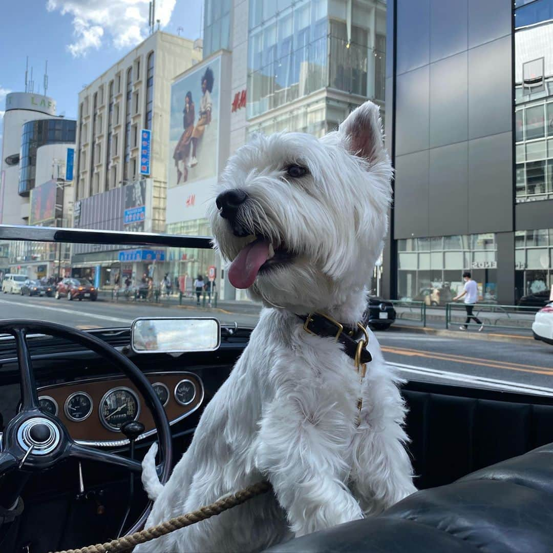 滝沢伸介さんのインスタグラム写真 - (滝沢伸介Instagram)「Sunday🦴 #tokyo」5月24日 16時27分 - sin_takizawa