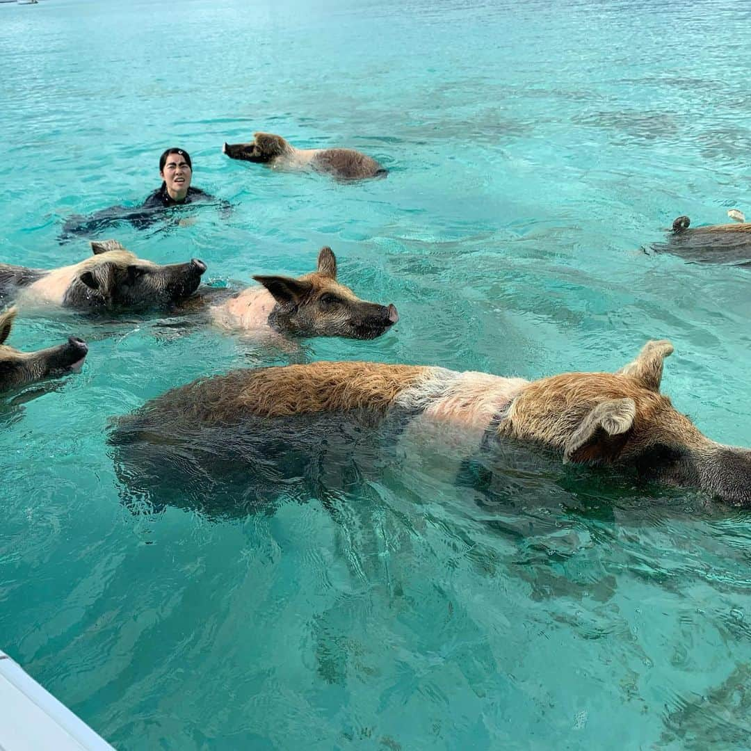 イモトアヤコのインスタグラム