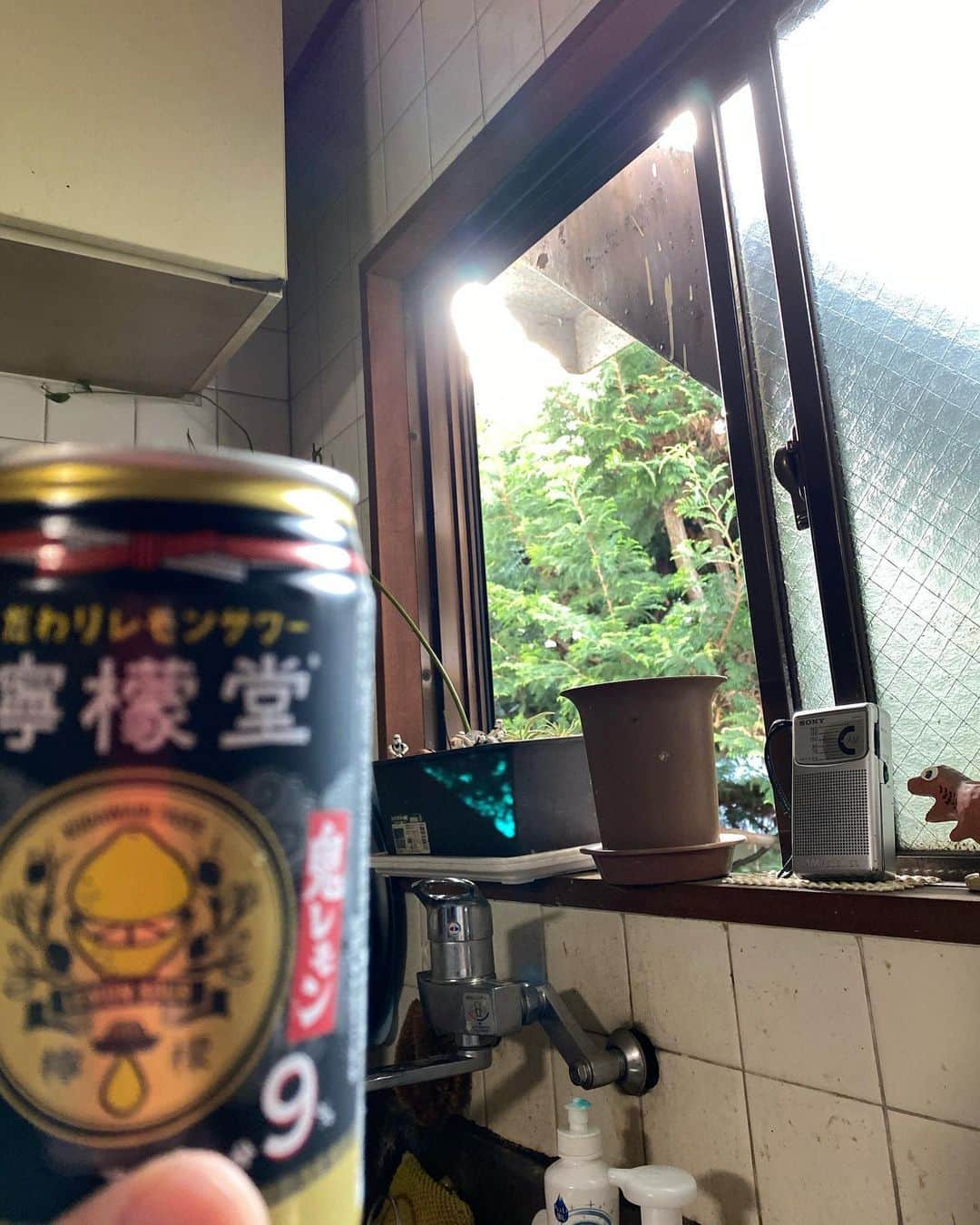 森田繁のインスタグラム：「プランターに、なんか超美麗なレンズフレアが入っている。」