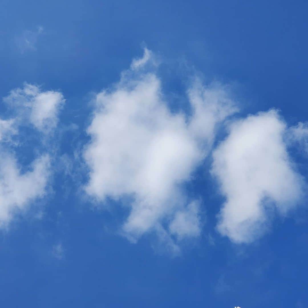 のインスタグラム：「おはようございます～  相変わらずの浅い睡眠で 早起きです。  お洗濯もすでに2回して ベランダで朝お茶中☕  少し雲はあるけれど 青空と朝の乾いた空気が 心地いい😊  頭のなか整理して 今日も頑張ろー✨」
