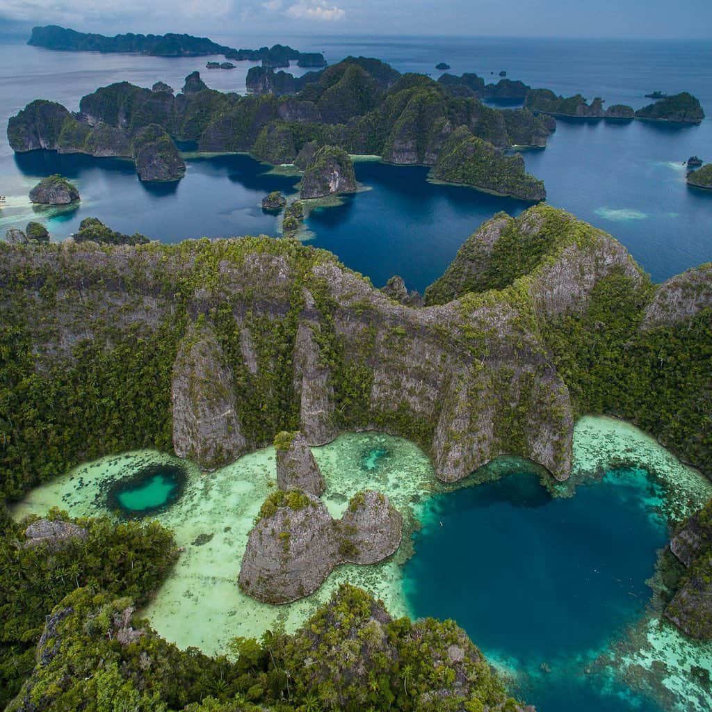 Tim Lamanさんのインスタグラム写真 - (Tim LamanInstagram)「Photos by @TimLaman.  The island of New Guinea is not just full of amazing birds and mammals, it is also surrounded by the world’s richest coral reefs, and has a rugged and diverse landscape with fascinating geology and paleontology, all of which are topics covered in my new book, just out from Princeton Univ Press, New Guinea: the Nature and Culture of Earth’s Grandest Island (by Bruce Beehler, with photos by Tim Laman). Photos: 1) A lush Raja Ampat reef scene, 2) Peak Trikora, a 4700m (15,500ft) peak, 3) Karst islands of Misool, 4) Fossil Ammonites.  Available on my website (www.timlamanfineart.com or link in bio). Please check it out and considering bundling it with one of my other books (such as Birds-of-Paradise, or Hornbills) and save on shipping.  #NewGuinea」5月24日 10時15分 - timlaman