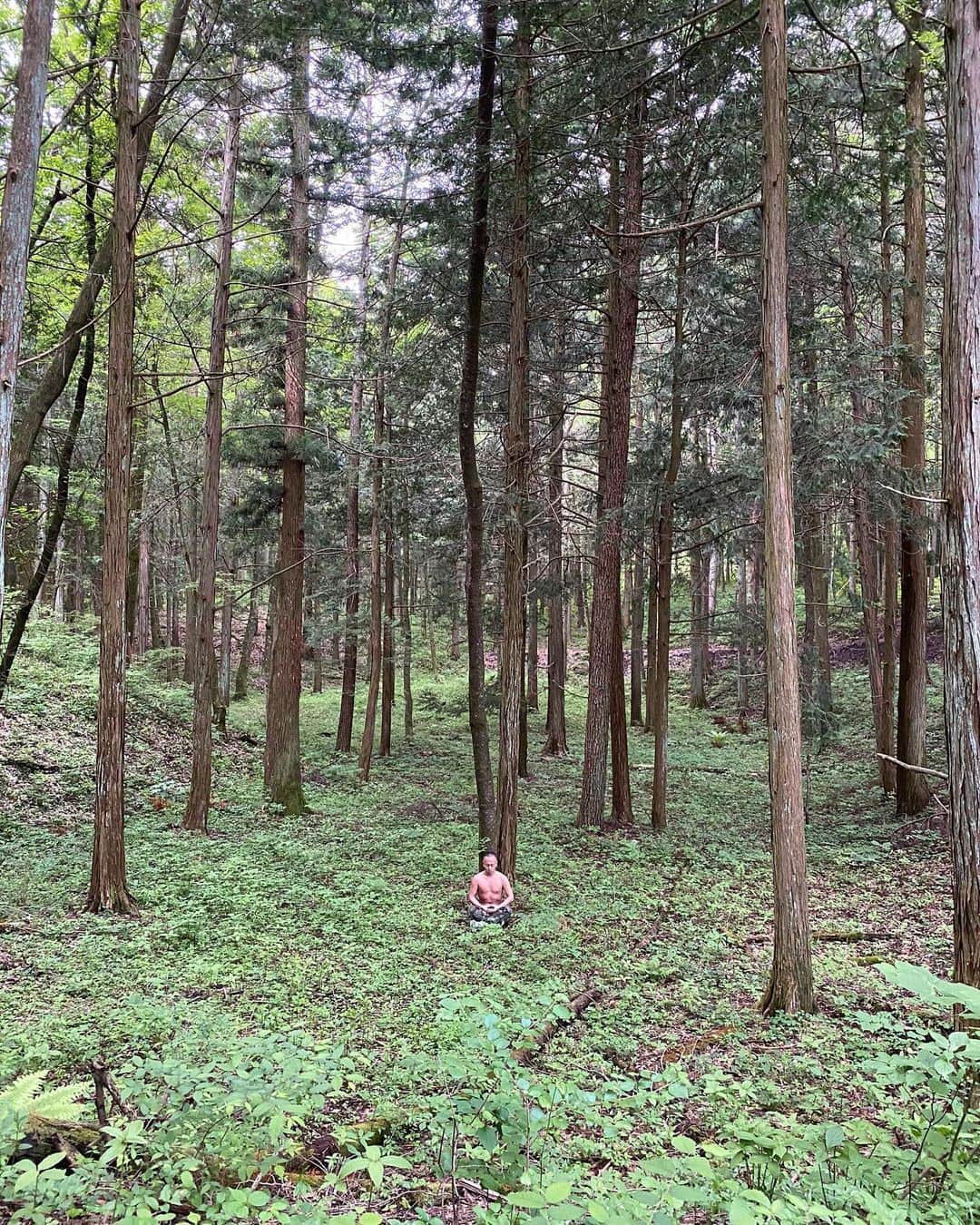 のインスタグラム：「🌳🌳🌳🌳🌳🌳🌳🌳🌳🌳 👁🧘🏾‍♂️」