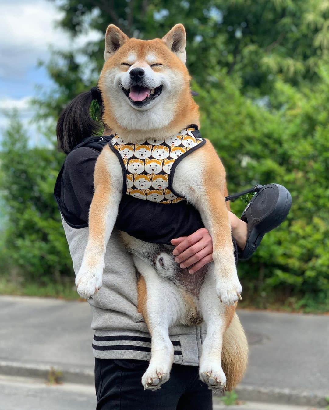 shibainu berryさんのインスタグラム写真 - (shibainu berryInstagram)「①②家の前で座り込み動かなくなり捕獲されるおやじ🐻 ③そのまま車へ連行🚙 いつもこんな感じで抱っこで車に乗ります😅 車に乗りたい時もドアの前で抱っこ待ち😅 むくみはジャンプして乗るよ💨 今日はじいじお休みでいっぱい散歩行ってもらえるからむくみは実家滞在中〜❤️ #❤️迷子犬の掲示板スタッフ @maigo_dog  #❤️迷子犬の掲示板四国 @maigo_dog_shikoku #めざせ迷子犬ゼロ👌 #柴犬 #べりやん #べりむく #多頭飼い #berry #shiba #shibainu  #shibainumania #shibastagram #instashiba #ぷにっと部 #口角キュキュッと部  #チーム俺様 →部員絶賛募集中 #shiba_snap #proudshibas #west_dog_japan #サンデイ #instagramjapan #ふわもこ部 #pecoいぬ部 #pecotv #buzzfeedanimals #dogsofinstagram #dogsofinstaworld #dogs_of_instagram #9gag」5月24日 11時52分 - shibainu.berry