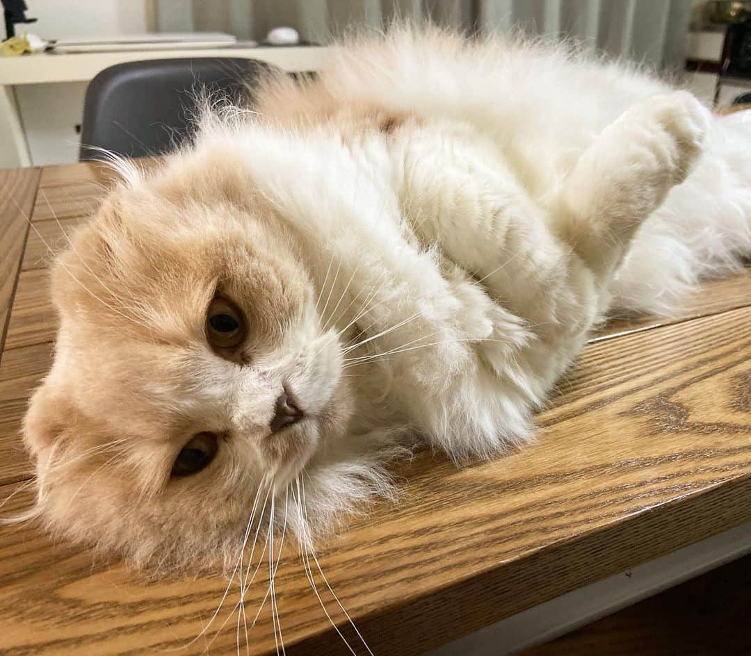 Katsuma のインスタグラム
