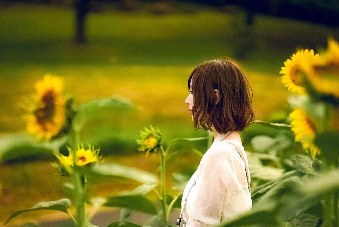 山本ゆうりさんのインスタグラム写真 - (山本ゆうりInstagram)「去年の夏にひまわり畑で撮ってもらった写真🌻  #ポートレート #ポートレートモデル #portrait #portraitphotography #フリーモデル #freemodel #ひまわり #向日葵 #sunflower #flower」5月24日 12時16分 - secret_mew