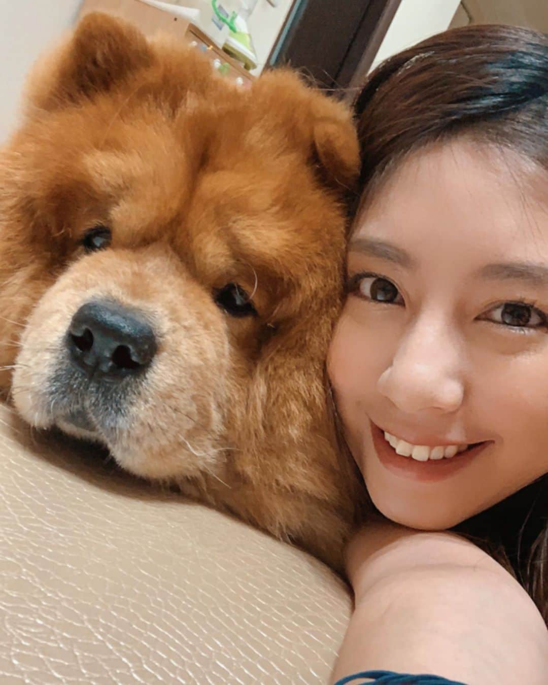 辜莞允（Nono Ku）のインスタグラム：「巴古怎麼長這麼大了～😎 - - - ⋯是朋友家的鬆獅啦真的豪可愛 好像放大十倍的博美😂😂」