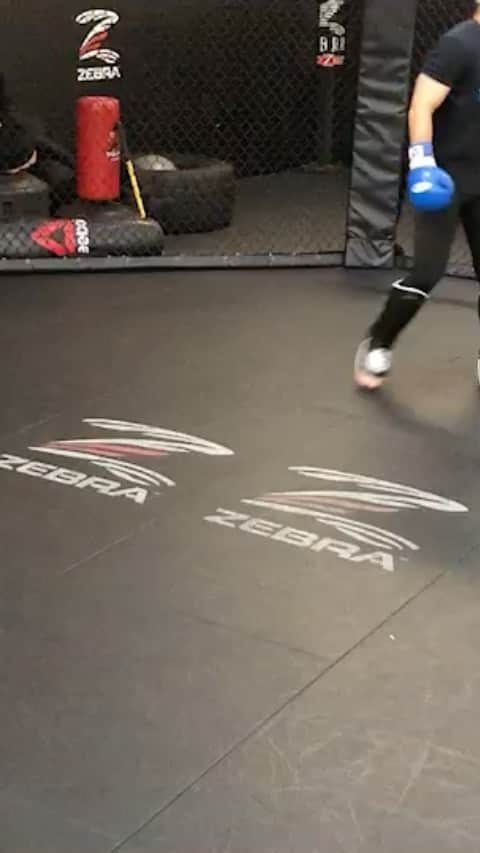 長谷川賢のインスタグラム：「相手はジャンヴィランテ　@gpvillante  He is very strong  one championshipタイトルマッチ前のファイトキャンプの一コマ  #onechampionship #mma #martialarts #kenhasegawa #training #japan #me #gym #workout #fitness #hardwork #likes #follow #eatcleanbro #grappling #格闘技 #トレーニング #筋肉 #試合 #総合格闘技 #ワークアウト #フィットネス #キックボクシング #ボクシング #グラップリング #長谷川スパーリング」