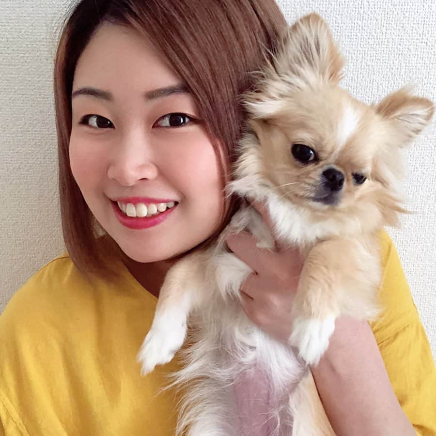 のインスタグラム：「サロンのような仕上がりを自宅で体験☆  最近、新しくお迎えした @damian_japan  のシャンプー＆コンディショナー♩ (2枚目を見てね‼︎) : : 《アミノ酸×温泉水の効果》 アミノ酸シャンプーは 低刺激でやさしく、 温泉水は天然ミネラルを多く含むため、 洗い上がりがしっとりツルツルな髪に！ : : damianのシャンプーは すごく泡立ちが良くて、 爽やかなフルーティーな香りが印象的で わたしも大好きな香り✨ : : 贈り物として すごく喜んでもらえそう！  サロン品質の シャンプー＆コンディショナーのセットで、 値段もかなりお手頃です！  楽天やAmazonで購入することができるので 気になる方はぜひチェックしてみてね☆ : : #damian #おこもり美容 #シャンプー  #コンディショナー #ヘアケア #ノンシリコン  #ボブヘアー #ブリーチ #ダメージケア #ヘアアレンジ #おうち時間  #ケアブリーチ #ショートボブ #サロンモデル #美容家 #ホームケア #アロマ #香り  #アスリート #地方創生 #体験  #犬のいる暮らし #ペキチワ  #lifestyle #dog #animal #dogstagram  #hairstyle #haircolor #hair」