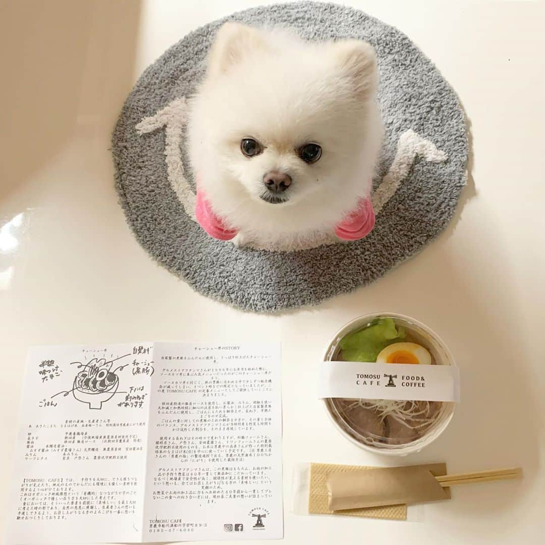 ニコちゃんのグルメインスタ