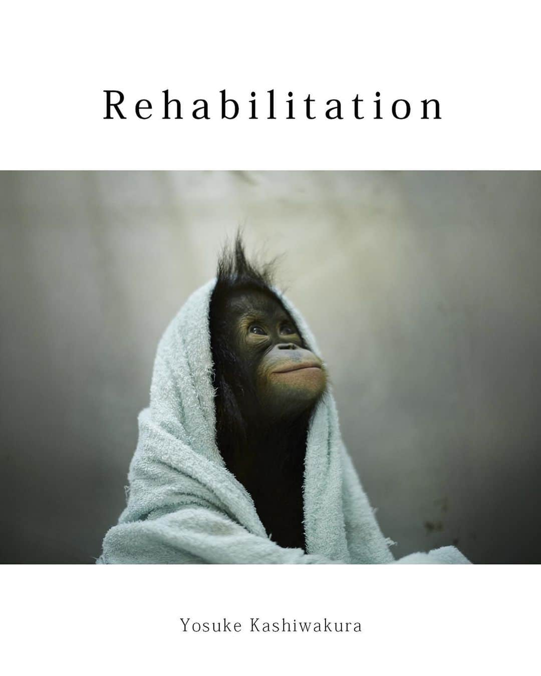 柏倉陽介さんのインスタグラム写真 - (柏倉陽介Instagram)「📷 Rehabilitation (English Edition) Kindle *YOSUKE KASHIWAKURA *135page *Kindle Unlimited ☆ Click Profile URL For More Info ☆ In my ebook, I announced my photo album "Rehabilitation." It is a collection of photographs of a rehabilitation facility for orangutans and follows the rehabilitation of wild animals. I feel that photographs of animals living on the boundary lines of civilization and nature are one kind of animal photographs that are in demand nowadays. 50% of the proceeds from this photo album will be donated to the Sepilok Orangutan Rehabilitation Centre, and the remaining proceeds (about 20%) will be used to pay for the production of the photo albums that will be printed as limited editions. Everyone, I hope to have your support in spreading the word. 📷 @yosuke_kashiwakura #自然 #写真 #動物 #カメラ #環境 #earthfocus #nature #instagram #wildernessculture #natgeo #wildlife #orangutan #endangeredspecies #photography #discoverearth #environment」5月24日 13時05分 - yosuke_kashiwakura