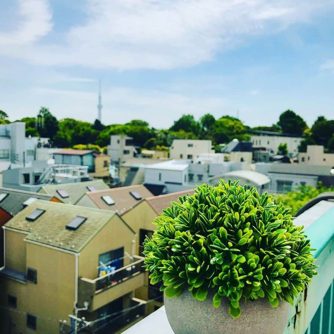 hotelgraphynezuさんのインスタグラム写真 - (hotelgraphynezuInstagram)「Graphy Rooftop chilling !  グラフィーの屋上でもゆっくり過ごせます。  #sunnyday #rooftop #view #tokyoskytree #afternoonchill #uenopark #yanesen #bunkyo #veranda #tokyolife #japantravel #photography #hotel #hotelgraphynezu #ホテル #ホテルグラフィーネズ #屋上 #景色 #東京スカイツリー #谷根千 #晴天 #文京区 #上野公園 #東京 #日本 #おうちで旅体験」5月24日 13時44分 - hotelgraphy_nezu