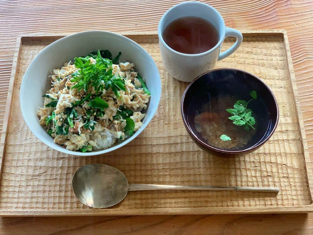 青山有紀さんのインスタグラム写真 - (青山有紀Instagram)「アトリエにあった食材で超簡単ランチ。 残りごはんを蒸し器で温めてる間に、フライパンに手で崩した豆腐と刻んだえのきを入れて炒める。ある程度水分が飛んだらじゃことみじん切りにした紅生姜を加えて炒め、醤油で味付けしてから火を止める。天然クレソンをドバッと加え、美味しいごま油を少し垂らして混ぜる。熱々ごはんに揉み海苔を乗せ、その上に豆腐炒めを乗せてごまをふる。紅生姜がなくても生姜や実山椒煮でも。お汁は梅干しとおかかと醤油ひと垂らし、そこに熱湯を注いだだけ。じゃこは使い切れない分は冷凍しておくと炒め物や焼き飯にさっと使えて便利。 #寿養茶 #青山有紀 #青山有紀ごはん」5月24日 13時59分 - yukiaoya