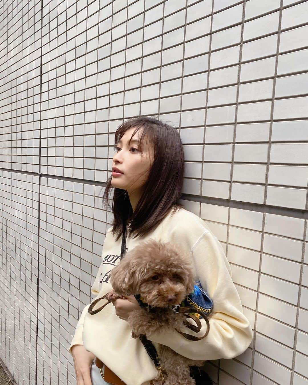 大政絢さんのインスタグラム写真 - (大政絢Instagram)「最近家にいることも多く甘えん坊なわんこ🐶 @doubutsupeace  の収録だったので一緒に✨良かったね〜🐶🐶🐶 そして、こちらのsweat一瞬で売り切れてしまった @not_lonely_tokyo  再販でゲットでき本当に嬉しい〜！おしゃれな @kakiuchiayami  のお洋服新作も楽しみすぎる✊✨ 収録終わったらマスクして家に🚗 ベルトは #chloe  のパンツとセットのもの✨」5月24日 14時31分 - aya_omasa_official