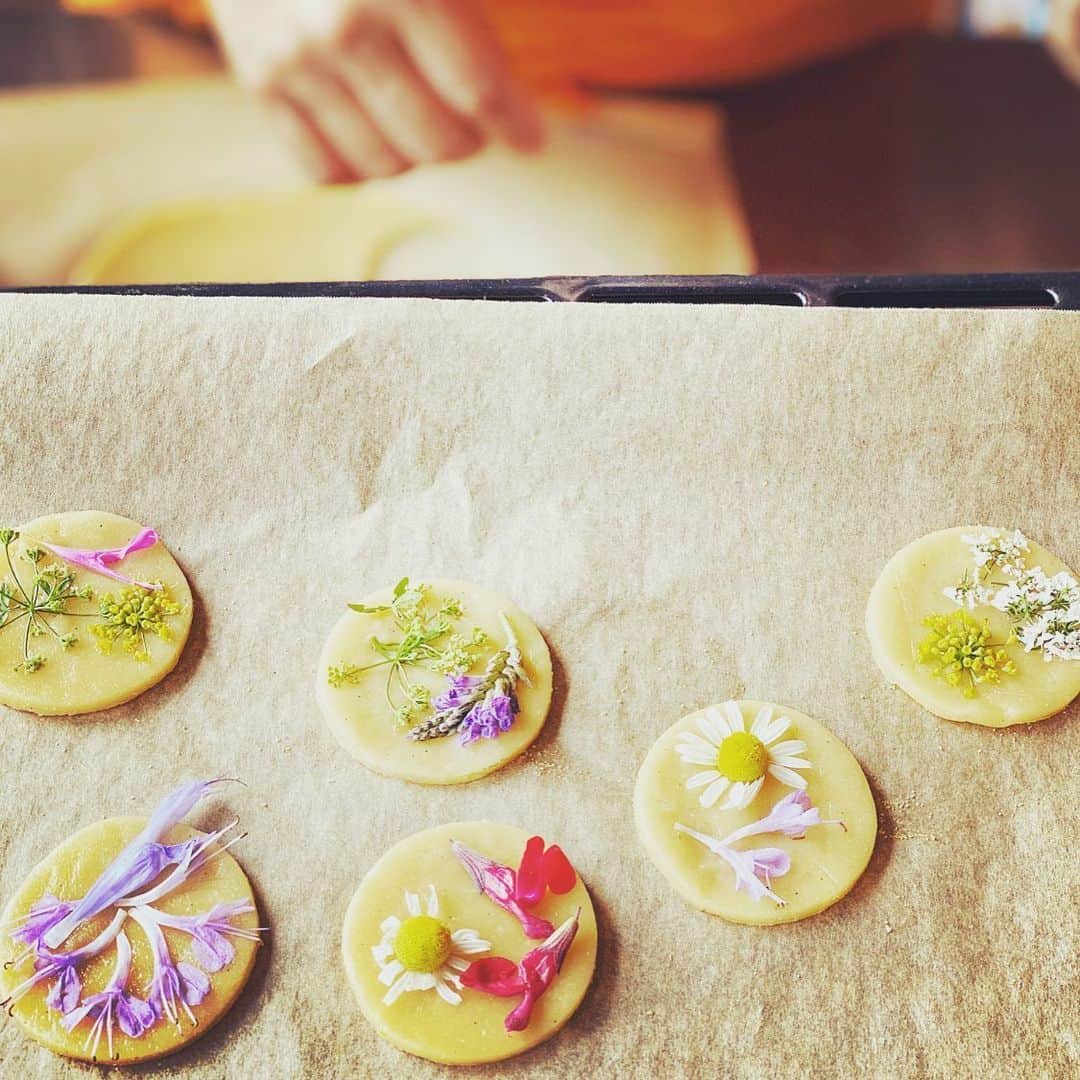 HiRAO INCさんのインスタグラム写真 - (HiRAO INCInstagram)「. Herbal Cookie  ハーブガーデンに咲いている ハーブの花のクッキー  @eatripsoil  @yurynomura」5月24日 14時40分 - kayokohirao