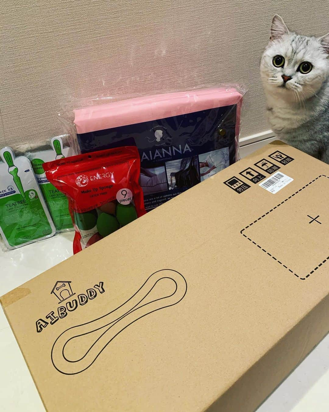 あやみ旬果さんのインスタグラム写真 - (あやみ旬果Instagram)「🎀📦❤️🌟🙇‍♀️🎁✨🐈 パックがまた会社名前だったんだけど、２つ送ってくれた方お手数だけどメッセージちょうだい＾＾」5月25日 1時00分 - ayami_syunnka0815