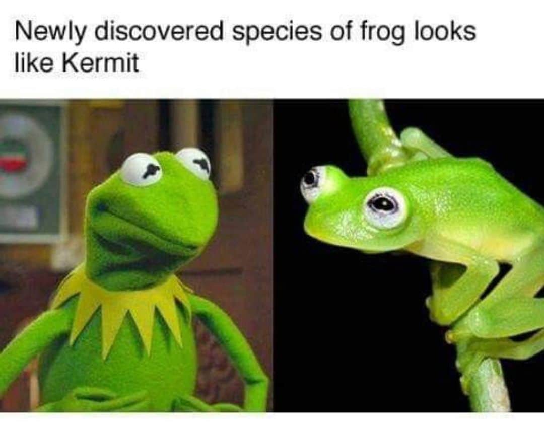 カテリーナ・スコーソンのインスタグラム：「This confirms my suspicion that Jim Henson was omniscient and touched with a magic that we will never understand.」