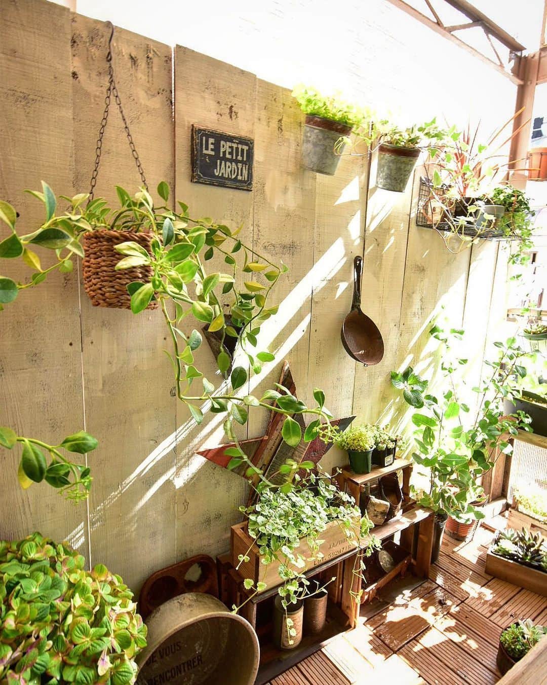 akiのインスタグラム：「久々の気持ちいいお天気☀️ . @hananomiserin  さんから新たにお迎えしたグリーンも加わって、ベランダガーデンも賑やかになってきました♪ 1番日当たりの良いところでは、家庭菜園始めてみたり😁 . . . .  #古民家#古民家リノベーション #セルフリノベーション #diy #ベランダガーデン #ベランダガーデニング #balconygarden #plants #green #観葉植物  #緑のある暮らし #plantsplantsplants #plantspotter #plantssparkjoy #antique #vintage #rustic #interior #interiordesign #インテリア　#homedecor #display #暮らし #lifestyle」
