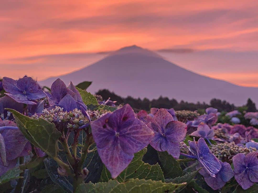 phantastic420のインスタグラム：「. 🤩🤩“Shizuoka” prefecture in Japan is a place where you can see the most “phantastic” Mt. Fuji🗻 in the world.🤩 #富士山 #mtfuji #japan #shizuoka #fujinomiya  #宮すた #miyasta @fujinomiyacity  #phantastic420photography #mostphantasticmtfuji #selamatpagi  #goodmorning  #おはようございます 😇😇😇😇😇😇😇🗻😇😇😇😇」