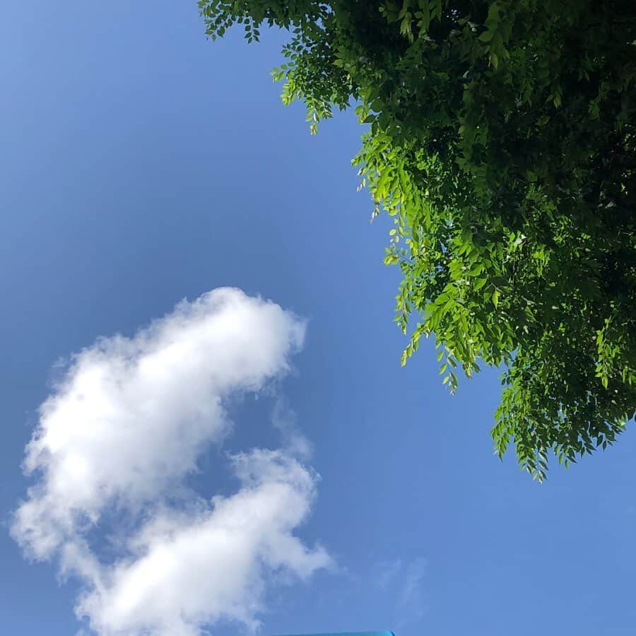 石川亜沙美のインスタグラム：「今日の青空☁️ ・ 瞬間瞬間 変わる 空の表情 ・ 見上げた空 わたしの 元気の素💪 ・ 今日もありがとう☺️🙏 ・ ・ #2020.05.24 #青空 #bluesky  #nonfilter  #tokyo」