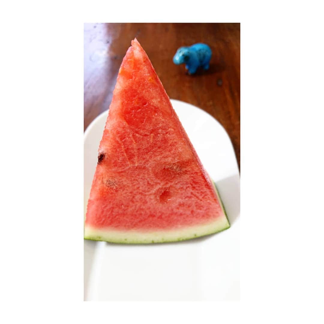 加藤沙知さんのインスタグラム写真 - (加藤沙知Instagram)「西瓜  今季初。  #甘くて美味しかった～ #糖度12度 #水分たっぷり ・ #スイカ #watermelon ・ #昨夜の投稿の続き #お腹いっぱいでも別腹 #でも昨夜は一切れだけ #残りは今夜これから！」5月24日 17時12分 - mrt.kato