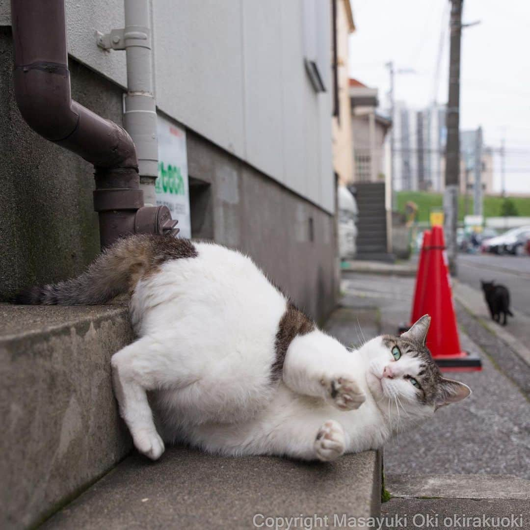 Masayukiさんのインスタグラム写真 - (MasayukiInstagram)「首に力をいれる。」5月24日 17時21分 - okirakuoki