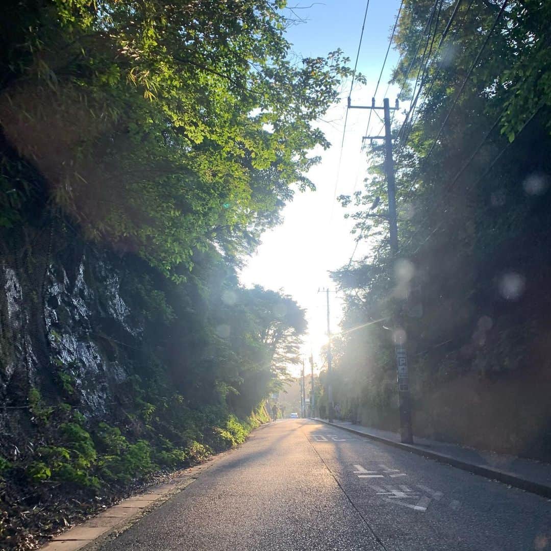 クリス智子さんのインスタグラム写真 - (クリス智子Instagram)「今日は、いい陽気でしたね。 五月の光の仕業を、あちこちで。」5月24日 17時39分 - chris_tomoko
