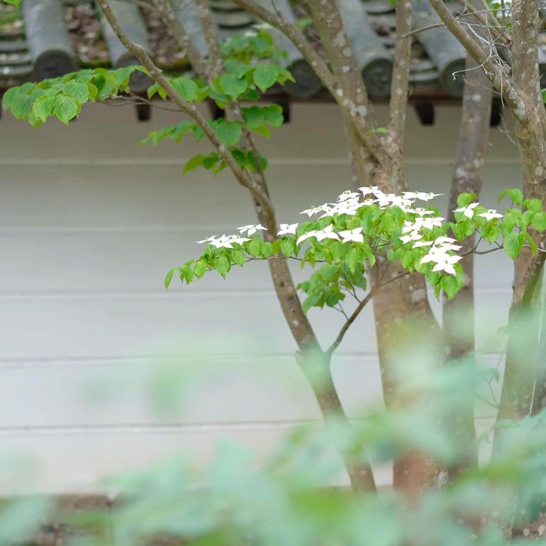 奈良 長谷寺 / nara hasederaのグルメインスタ