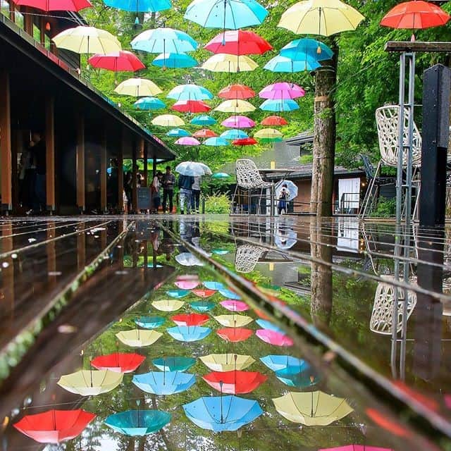 楽天トラベル さんのインスタグラム写真 - (楽天トラベル Instagram)「こんにちは😊 #おうちで旅体験 今日は雨の日も楽しくしてくれるような写真をお届けします☔　*過去イベント開催時のお写真です。 ーーーーーーーーーーーーーー 📍#ハルニレテラス　 #軽井沢星野エリア（長野県  軽井沢町） ーーーーーーーーーーーーーー 軽井沢星野エリアの玄関口にある、湯川の清流に自生していた100本を超えるハルニレの木立を生かした小さな街。16の個性的なショップ・レストランが並びます。 例年梅雨の時期に行われていたカラフルな傘が彩るこちらの #軽井沢アンブレラスカイ は残念ながら今年は中止が発表されています。 ーーーーーーーーーーーーーー ◆軽井沢駅からバスで約20分 ◆しなの鉄道中軽井沢駅からタクシーで約5分 ◆「碓氷軽井沢」ICから車で約20分 ーーーーーーーーーーーーーー Special Thanks💓 📸Photo by @kanako_3553 . . みなさんの #次の旅先リスト もぜひ教えて下さいね🌂 ーーーーーーーーーーーーーー 旅先で出会った美しい風景や絶品グルメなどを #おうちで旅体験 と #rakutentravel を付けてぜひシェアしてください😊 このアカウントでご紹介させていただきます💗 ーーーーーーーーーーーーーー . . #楽天トラベル #旅行好きな人と繋がりたい #旅したくなるフォト #旅行 #国内旅行 #おうち旅行 #おうちで旅行気分 #travel #trip #japan #いつか行きたい #旅行好き #リフレクション #リフレクションのある景色 #星野リゾート #雨 #傘 #アンブレラスカイ #軽井沢 #長野 #軽井沢旅行」5月24日 18時00分 - rakutentravel
