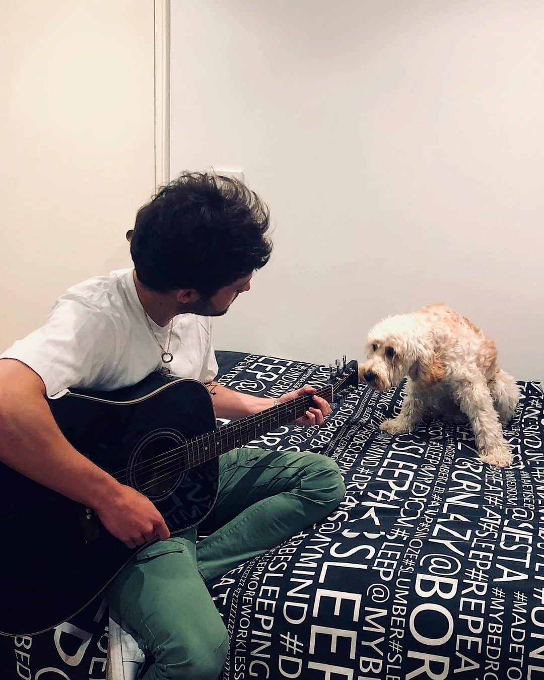 ブレンダン・ケリーのインスタグラム：「“Yup, smells in tune to me!” 🎼😜 #quarantine #lazyday #audienceofone #mgk #inspo #doggo #guitar」