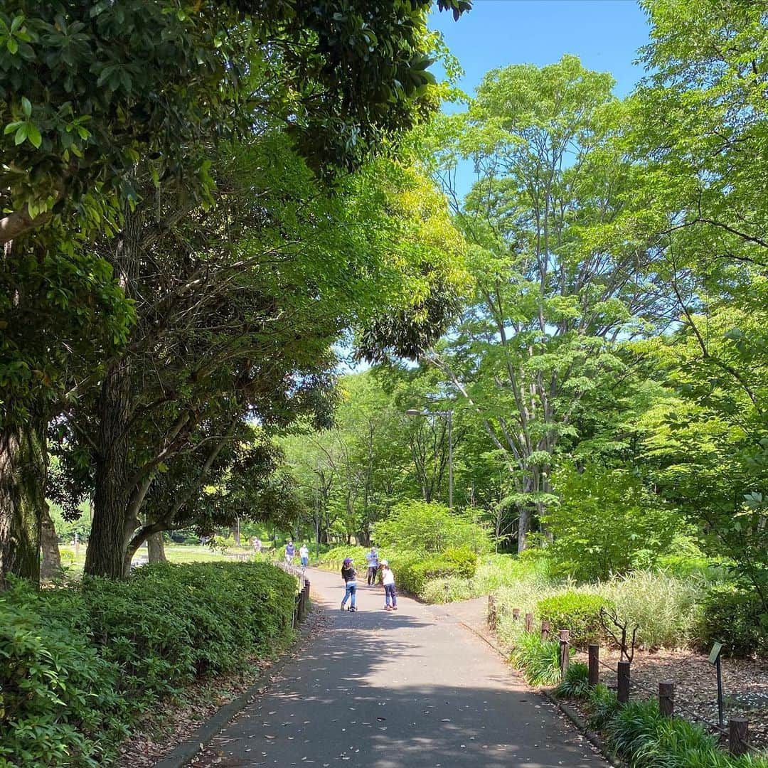 宋美玄さんのインスタグラム写真 - (宋美玄Instagram)「北の丸公園に散歩に行きました。ステイホームの間に季節はすっかり初夏。日差しが強くて木漏れ日がちょうどいいですね。来年はお花見できるかなあ。 #ステイホーム #コロナに負けるな #北の丸公園 #散歩道 #シロツメクサ」5月24日 18時30分 - mihyonsongkobe