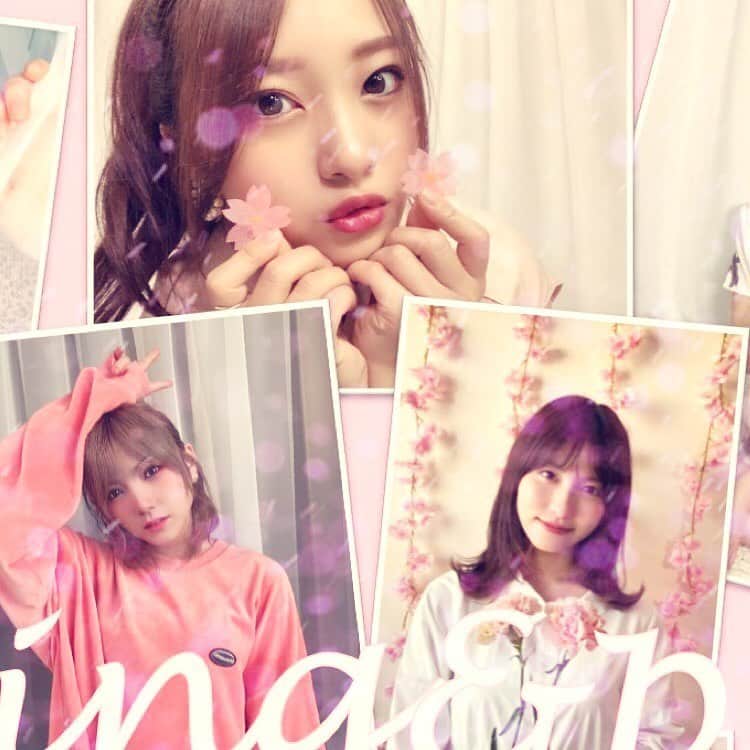 AKB48 Officialさんのインスタグラム写真 - (AKB48 OfficialInstagram)「spring&pink #AKB48 #spring #pink #pinkflowers  #coordinate  #posing  #selfie #photo #photography  #生写真 #自撮り #アイドル #おうち時間 #stayhome #stayathome」5月24日 18時26分 - akb48