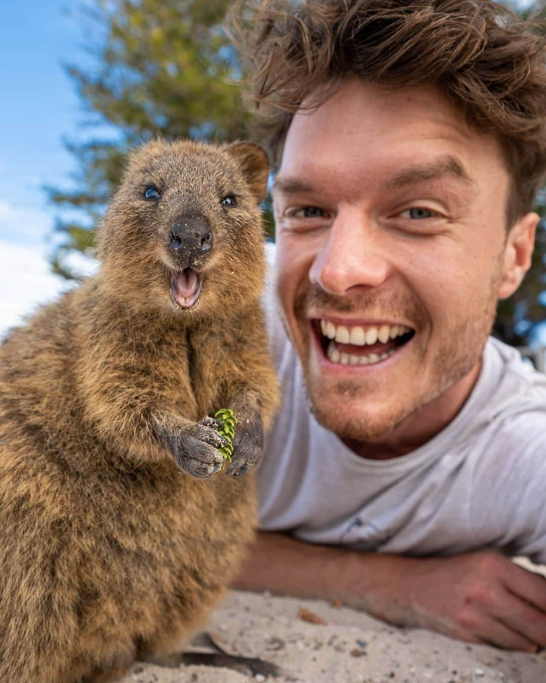 アラン・ディクソンのインスタグラム：「Quokka will be sad if you don't watch my new YouTube video (Click my bio link) 👆🐻🎥 Super proud of this one!! @quokkahub thanks you for watching.  Also, major thanks to @matteacarson for helping me film. 🙌  Now click my bio link! - #quokkahub⁠ #quokka #quokkastgram #quokkalovers #quokkalover #quokkasofinstagram #quokkas #perth #sydney #instaquokka #westernaustralia #rottnest #rottnestisland #australia #animallovers #adorable #animalsco #wildlifeplanet #animals #quokkaselfie #insta_animal #hongkong #babyanimals #cuteanimals #singapore #wildlife #cutesmile #nature」