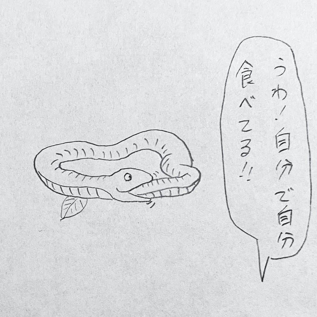 新山大さんのインスタグラム写真 - (新山大Instagram)「きれいに食べました。 #三コマ漫画 #3コマ漫画 #一日一作品 #28作品目 #おいしいヘビ #ヘビ」5月24日 19時06分 - dai_niiyama