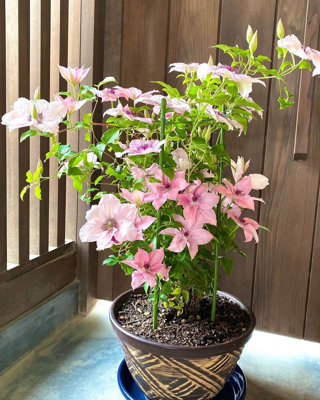 祥吉のグルメインスタ