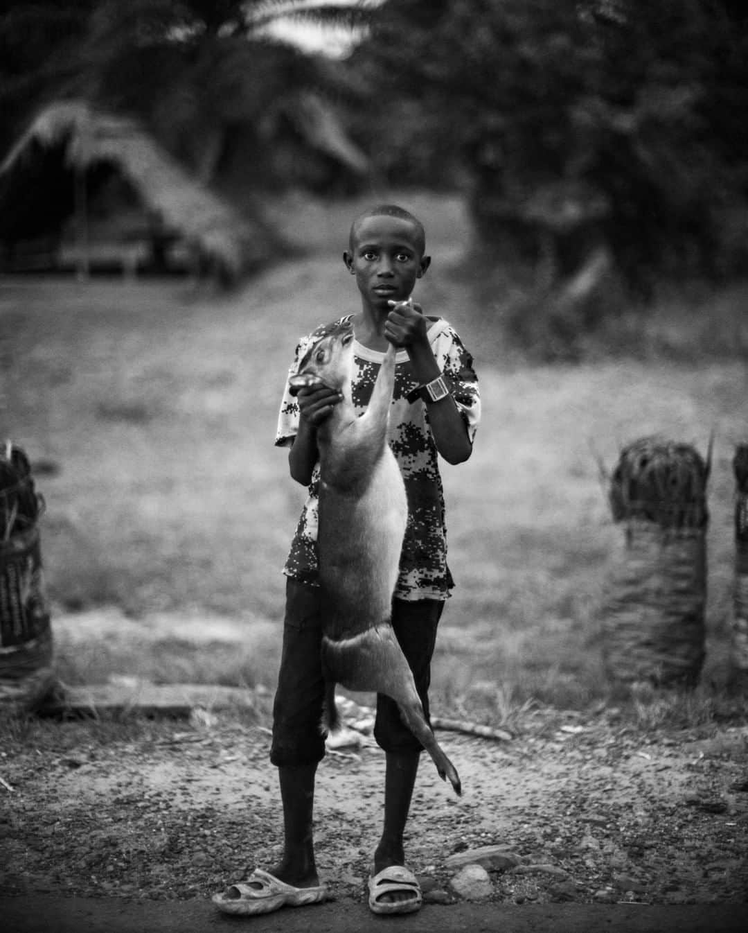 ナショナルジオグラフィックさんのインスタグラム写真 - (ナショナルジオグラフィックInstagram)「Photo by @michaelchristopherbrown | A young Liberian attempts to sell a royal antelope beside a highway outside the capital,  Monrovia. It is known as the world’s smallest antelope, and hunting is a significant threat to its survival in Liberia as well as other West African countries, including Sierra Leone, Côte d'Ivoire, Ghana, and Guinea.」5月24日 19時38分 - natgeo