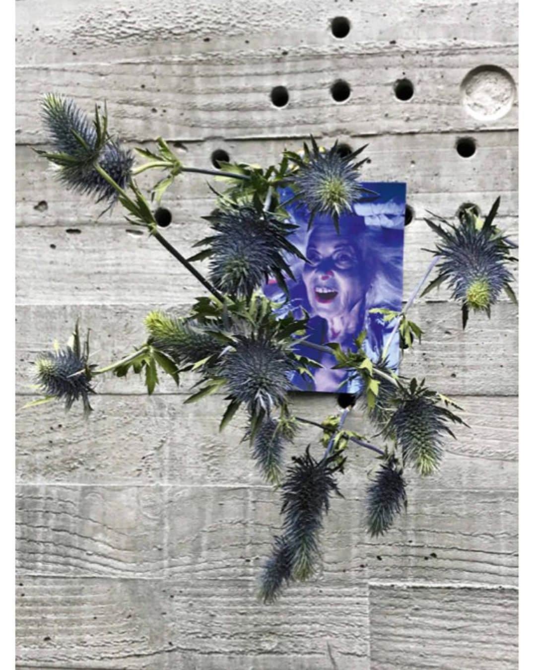 ヴィヴィアンウエストウッドさんのインスタグラム写真 - (ヴィヴィアンウエストウッドInstagram)「Juergen Teller and Dovile Drizyte re-photograph the Vivienne Westwood Spring-Summer 2020 campaign in isolation during qurantine in London. @juergentellerstudio @doviledrizyte @reeditionmag」5月24日 19時46分 - viviennewestwood