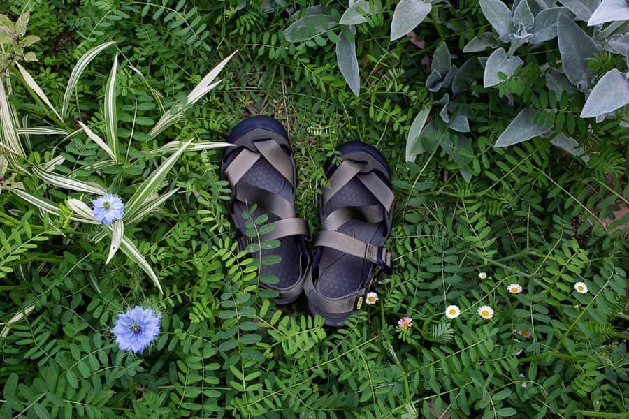 のインスタグラム：「庭でいま1番好きな場所。  @keen_japan の　#zerraport2  色に惹かれてメンズにしてみました。  夏が楽しみ。  #Zerraport #DetoxOurPlanet #KEEN #キーン」