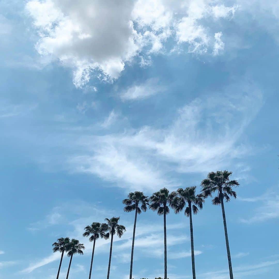 近藤美月さんのインスタグラム写真 - (近藤美月Instagram)「﻿ ﻿ ﻿ 昨日の綺麗な空 ♡﻿ ﻿ ﻿ ヤシの木と青空が こんなに綺麗に見えるところが 大阪にあるなんて🦋﻿ ﻿ ﻿ 知ってるようで、﻿ まだまだ知らないところばっかり😌﻿ ﻿ ﻿ 色んなところに行きたいけど、﻿ 知らないと行きたいとも思えないから﻿ まずは知るところから ☺︎﻿ ﻿ ﻿ 毎週、お家でダラダラしまくる時間を﻿ 作ってるねんけど、﻿ 旅行の雑誌とか見まくってる✈︎✈︎💕﻿ ﻿ ﻿ ﻿ ﻿」5月24日 20時24分 - miittsuk