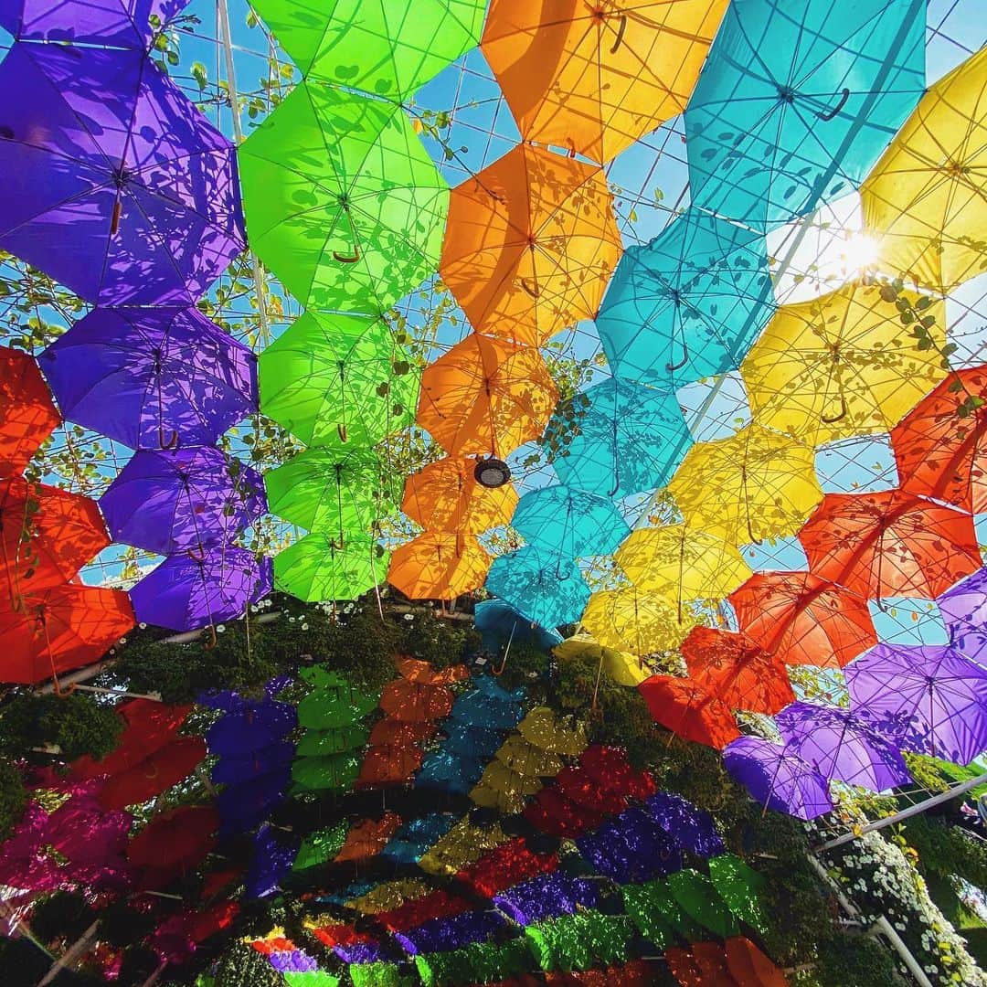 清水彩子のインスタグラム：「早く色んな所に出掛けたいな🌈  #ミラクルガーデン #trip #dubai」