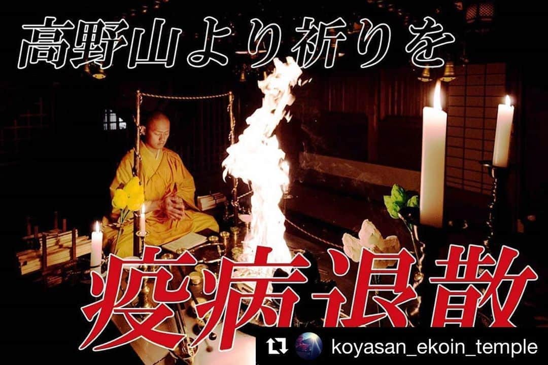 CMKgalleryさんのインスタグラム写真 - (CMKgalleryInstagram)「#Repost @koyasan_ekoin_temple with @get_repost ・・・ ※シェアしてくれると嬉しいです※ 【世界遺産高野山より祈りの力を届けたい】でクラウドファンディングに挑戦中です！@koyasan_ekoin_temple にリンクあります。 　例年であれば多数の参拝者様で賑わう高野山ですが、この度新型コロナウイルスの影響で訪問される方が激減しております。「こういう時期だからこそ高野山にお参り行きたい！」と思ってくださっている方々もお参りに来られない、、、という、とても残念な状況が毎日続いておりますが、今の状況下では致し方のないことかとも思います。  世界中の人々が目に見えない不安、恐怖と戦っているときに 我々僧侶に何かできることはないか 一心に祈ることでその不安を取り除けないか 少しでもお力になりたい  このままでは日本仏教の聖地である高野山の存続、そして宿坊文化の衰退に危機感を抱き、今回のプロジェクトを立ち上げる決意に至りました。  一日も早く新型コロナウイルスが終息し、皆様が高野山へ実際にお越し頂ける日が来ることを　心よりお祈り申し上げます。 　これまで当たり前だと思っていた日常の尊さに感謝し、笑顔で安心して人と人が触れ合える社会や、争いのない平和な世界を強く願い、我々僧侶は祈りをささげます。生きとし生けるものの苦しみをやわらげることができますように　合掌　 #高野山#クラウドファンディング#恵光院 #和歌山#助け合い#金剛峯寺#奥の院 #護摩行#祈り#疫病退散#新型コロナウィルス #キャンプファイヤー#お寺#お坊さん#橋本 #cmkgallery#koyasan#ekoin#世界遺産 #寺社仏閣#祈願#宿坊#護摩祈祷#wakayama」5月24日 20時50分 - cmkgallery