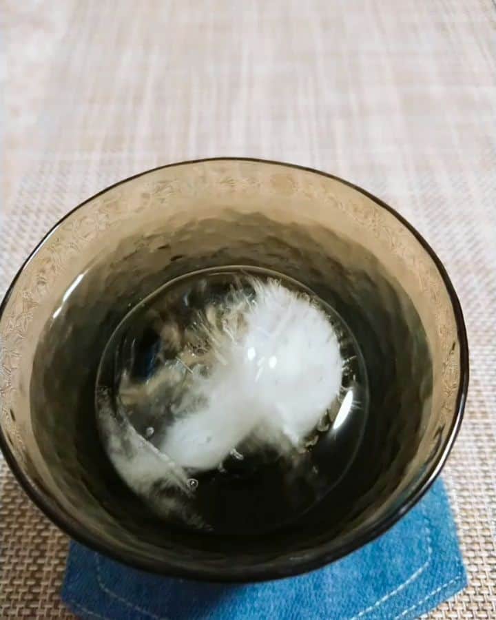 吉井怜のインスタグラム