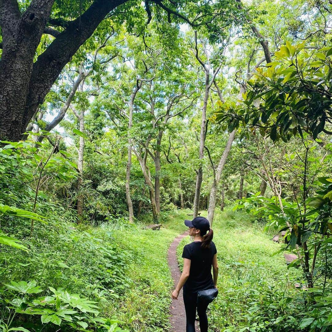 Hiroe Hiranoさんのインスタグラム写真 - (Hiroe HiranoInstagram)「【自然と調和する時間。山登り🌿】 朝からトレーニングして💪 アジャストメントをして身体を整えた後に。﻿ ﻿ 今日は、たっぷり汗をかきました💦﻿ そして、久々に山登りへ❣️⛰🌳🌳🌳﻿ #葉山リトリート ﻿ . 先週、雨もあり仕事モードが﻿ マックスだったので、少し身体ケアを﻿ サボってたのが見事に現れる、、、😭﻿ 日々のケアが大切だね💦😅﻿ ﻿ アーシング✨🌏﻿ 都内からすぐ場所に、﻿ こんな自然がたくさんあるよ。﻿ ﻿ 若葉や太陽、海、鳥の鳴き声。﻿ 富士山も見えました🙏﻿ ﻿ 地図のように簡単コースもあるし、﻿ ぜひ自然と調和する時間をお楽しみください🌳﻿ ﻿ 葉山の #真名瀬 エリアのコースです✌️﻿ ﻿ そして。﻿ 明日から、緊急事態宣言がクリアになるそうで。﻿ 東京に行ったのがずいぶん前に感じるなぁ。﻿ ﻿ ここ数ヶ月で、、、色々と向き合いながら。﻿ 私の中でもクリアになったことも🌟﻿ ﻿ スタンダードの変化もあるよね。﻿ ﻿ 変わらないのは、これからも。﻿ 自分と大切な人を大切にしながら、﻿ また日々を豊かに過ごして参りましょう☺️✌️﻿ ﻿ 💓LOVE&PEACE💓 . 　#パレオライフアカデミー　#葉山　#hayama @paleo_life_academy」5月24日 21時28分 - hiroe_hirano