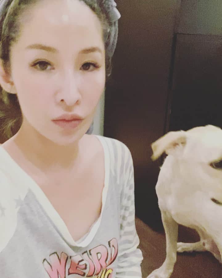 エルヴァ・シャオのインスタグラム：「Me n my babies #throwback #animalrights #love #peace #harmony #有個超強訓練師在後方 #媽咪讓你們撒嬌 🥰🥰」