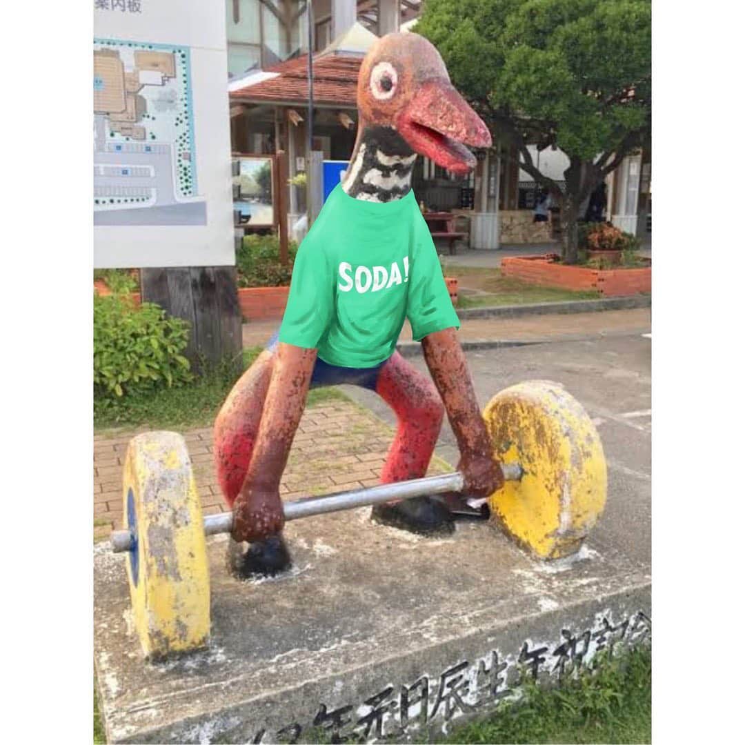 のインスタグラム：「ファイナルアンサー! SODA! 受注Tシャツ!!! 今夜23:59まで注文受け付けます! (全12色! プリントも白か黒を選べます!) GGEETTPPOOWWEERR!  #ヤンバルクイナ  believemusicstore.com/?mode=cate&cbi…」